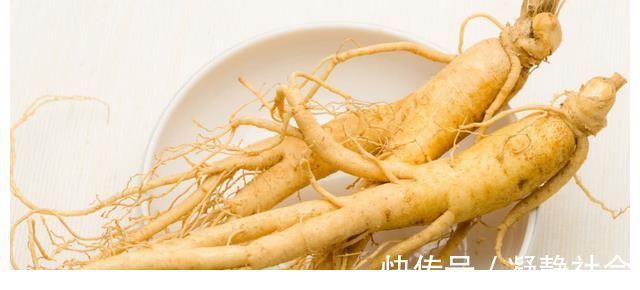 是真的吗|传言千年人参会“跑”，这是真的吗？为啥挖人参要绑“红绳子”？