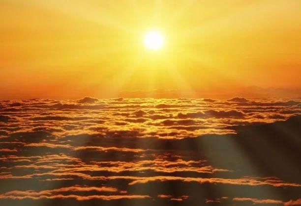 龙游县税务局|今日重阳丨夕阳红 朝阳美 蓄力税务共发展