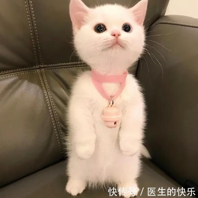 |「被窝段子20210727」生活没有低谷,只有蓄势待发