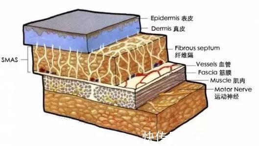 教授 王小民教授：面部出现松弛下垂，我们该如何保鲜？