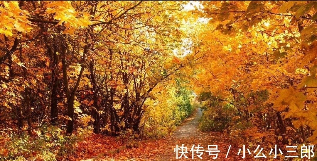 别元九后咏所怀!白居易怀念友情的一首诗,令人感觉无知音的日子是那么失落难过