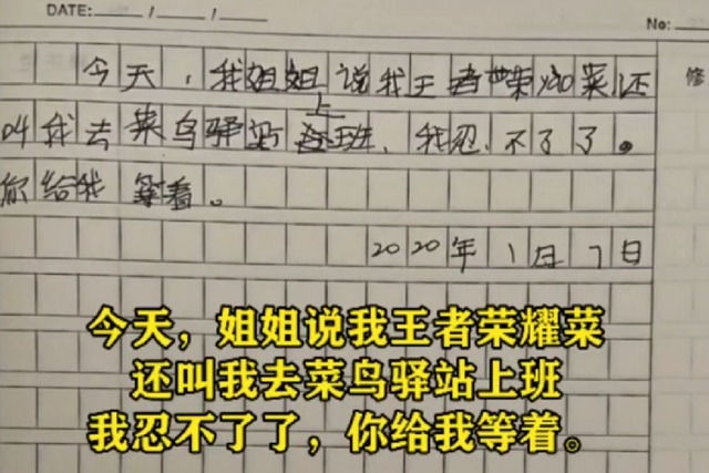 仇恨|弟弟的日记本里,记满了对姐姐的“仇恨”,网友却说很温馨有爱