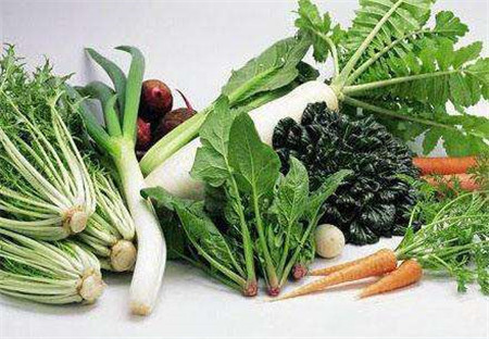 调理|高血脂的调理