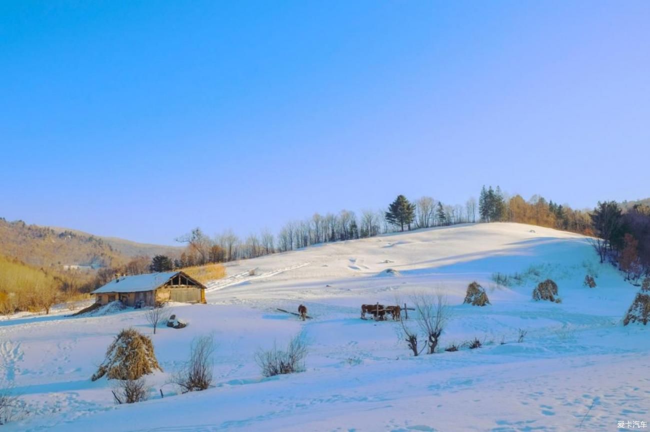 雪花漫漫洒落大地 浪漫季节体验大自然馈赠给人间的礼物-小雪花