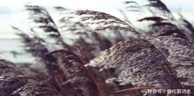 诗鬼|“诗鬼”李贺的一首被钱钟书称为“眉疏目爽之作”的《开愁歌》