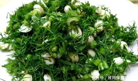 好吃|茴香做馅儿很好吃,但是你知道茴香的前世今生吗我给你介绍一下