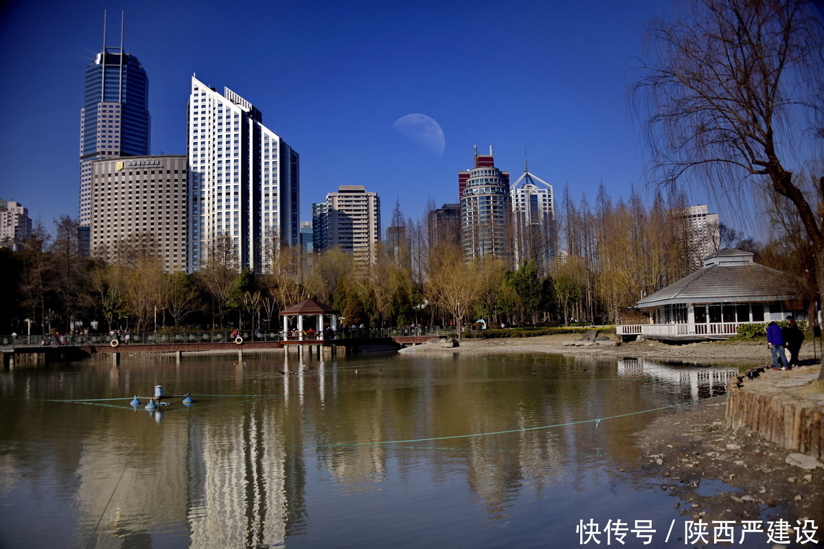 老年|新虹口花园的玉兰花开了【严建设】