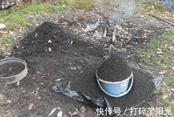 喷洒|快立春了,家里花草养得多就多备点它们,防范病虫害