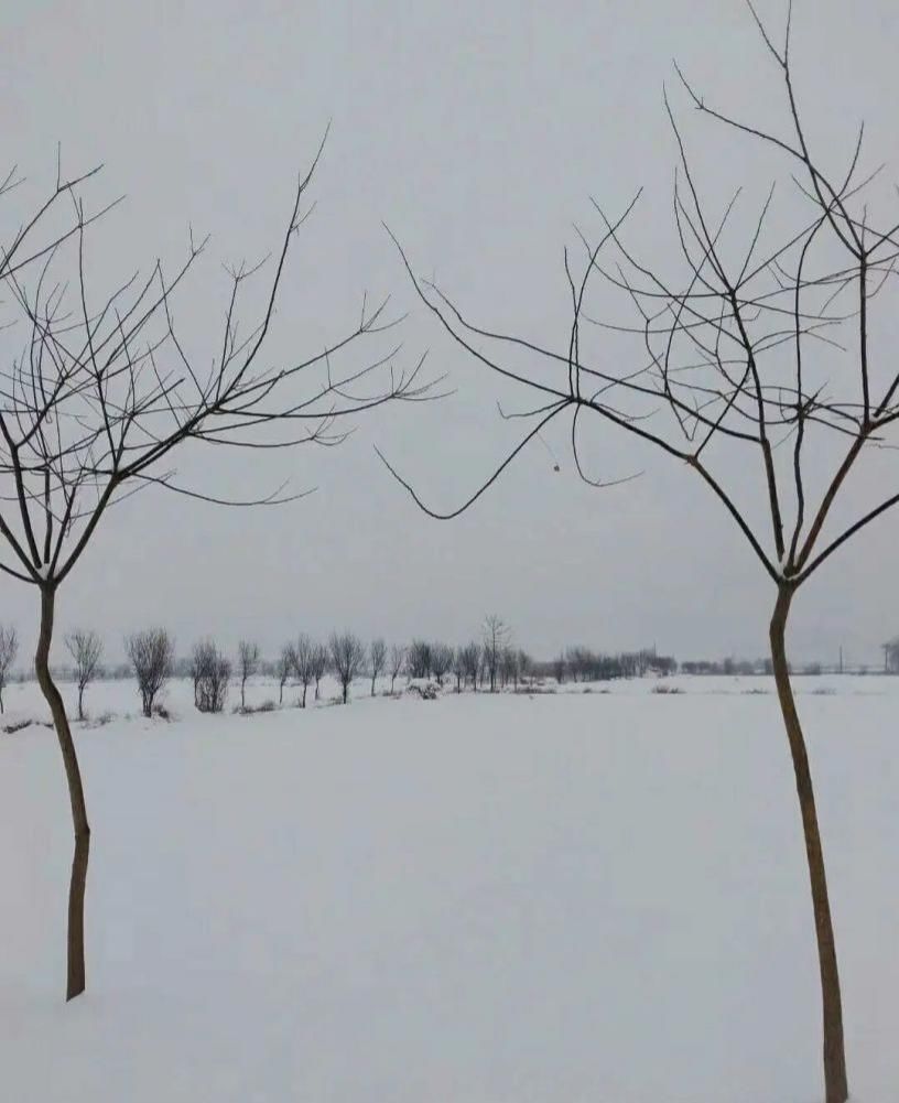 初冬|郭明祥‖ 初冬雪