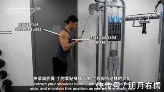 肱三头肌|手臂太细怎么练掌握这3点,“肱三头轰炸”练出麒麟臂