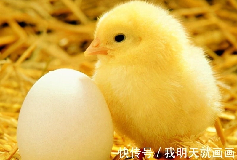 18条奇葩冷知识，课本上不一定找得到，但都是真实存在的