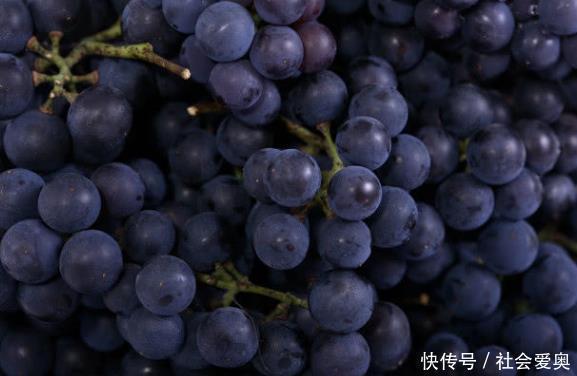 蒲公英|不想痛风来烦你,吃6种以上的碱性食物,尿酸会一天比一天低