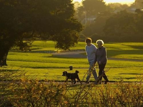 人体健康|散步也能致命？散步的好处和坏处，为了家人健康早了解