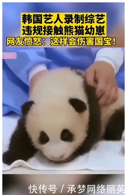 抢汉服熊猫还不够?韩网友称鞠婧祎《如意芳霏》抄韩国放河灯习俗