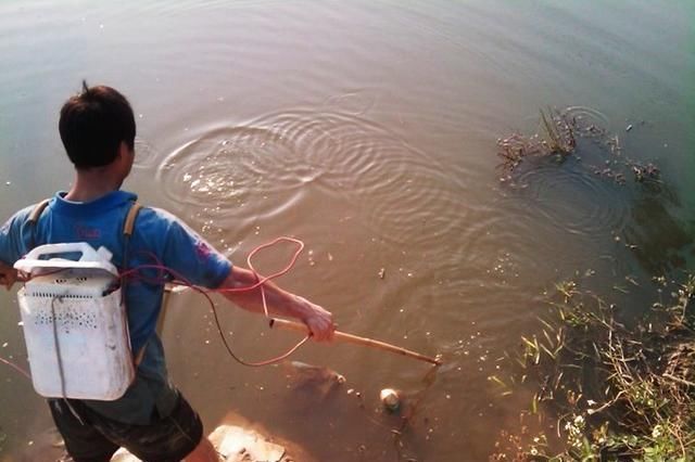 电鱼6斤罚款20000元，鱼苗放了二百斤，钓友真是大快人心