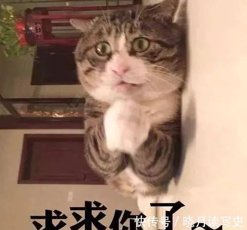 黄女士|孕期为保胎宝妈打500多针,肚子上全是淤青,但真的有必要吗?