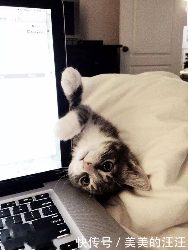 看什么书看书,难道我还没有书好看吗