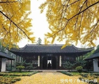 史公祠里赏银杏|王梅梅| 史公祠