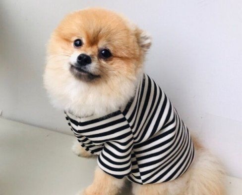 家有旧衣服别急着扔,还有这些用途,适合心灵手巧的你