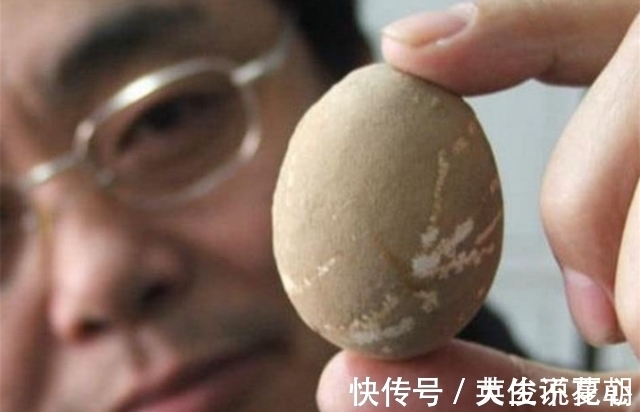 考古专家|为何考古专家害怕古墓出现鸡蛋,还说碰都碰不得,背后原因很简单