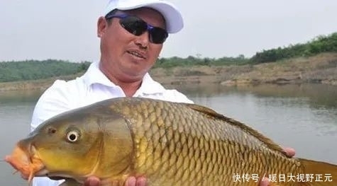 入口性|钓鱼颗粒粉这样搭配,鲫鲤鱼马上咬钩,根本停不下来