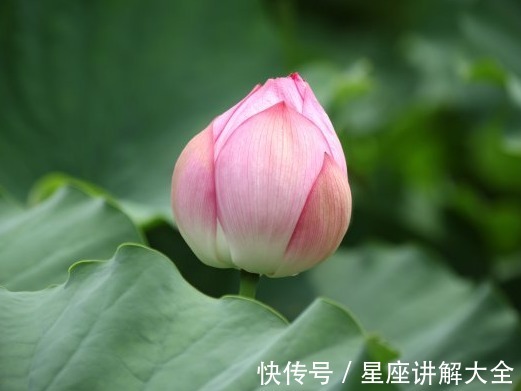 命宫|进入9月上旬，鸿运缠身，4属相吉星傍身，突破困境，富贵有余