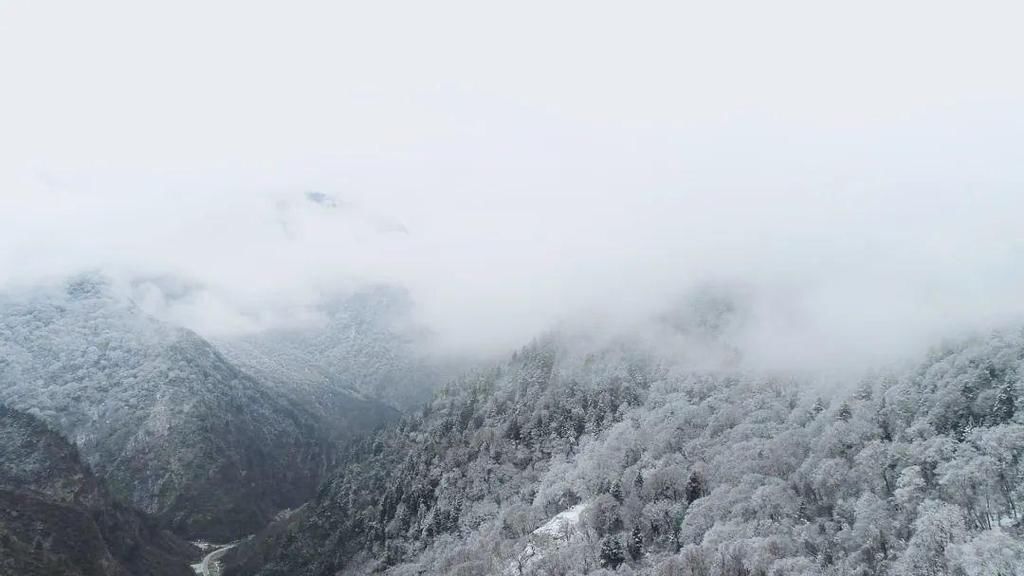 地方|汶川下雪了！这些地方，你最想去哪个？