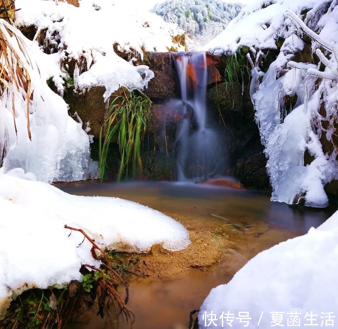 兰友|兰花用什么水浇最好？这种水，比天然的雨水更妙