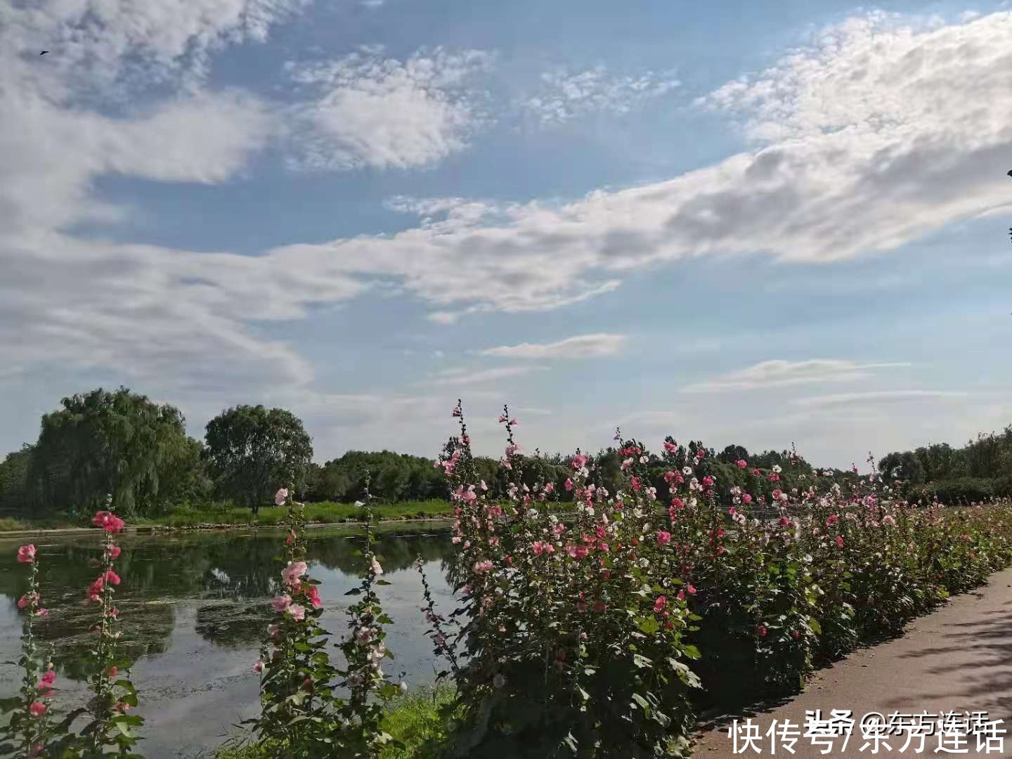 撒撒欢儿|四个月减了十公斤