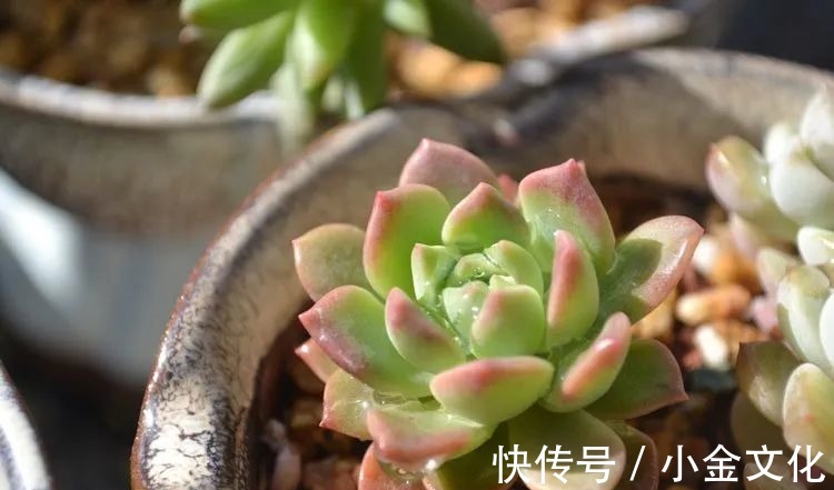 以阳光为滤镜,蓝天为背景,期待拥抱春天,拥抱自然!