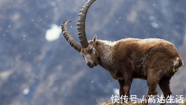 16个冷知识:真实存在着,或许也曾知晓过的有趣知识