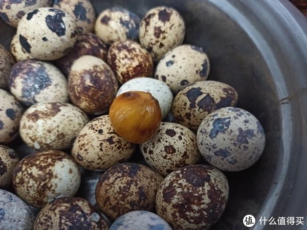 板栗|日常生活 篇四十七：用苏泊尔空气炸锅烤拼多多上买的板栗。