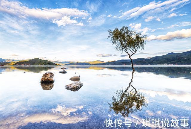 相思@《知秋》——一叶落秋,相思亦愁