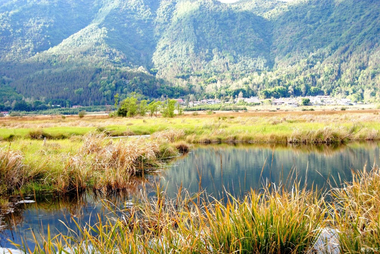 湿地|北海湿地小镇