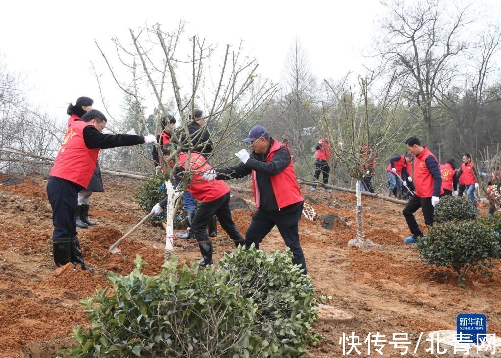 安吉县|浙江安吉：山绿水清 景美民富