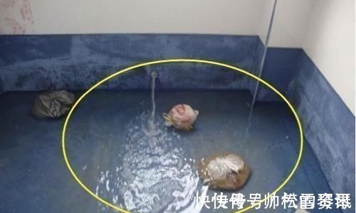 水龙头|厨房装修万万别踩这四个坑,我家装错才来告诉你,真想拆了重新装