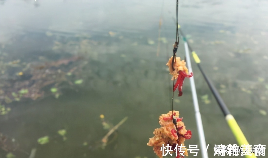 深秋鱼口轻难钓？不妨让饵料“舞动”起来，或许可以改变这种窘境