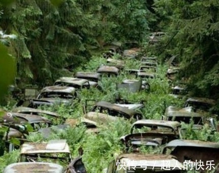 |搞笑段子，为了不犯桃花，所以我替起了秃头