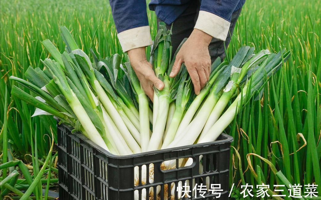 买回来的大葱,别随便放在地上,教你保存技巧,放半年都很新鲜