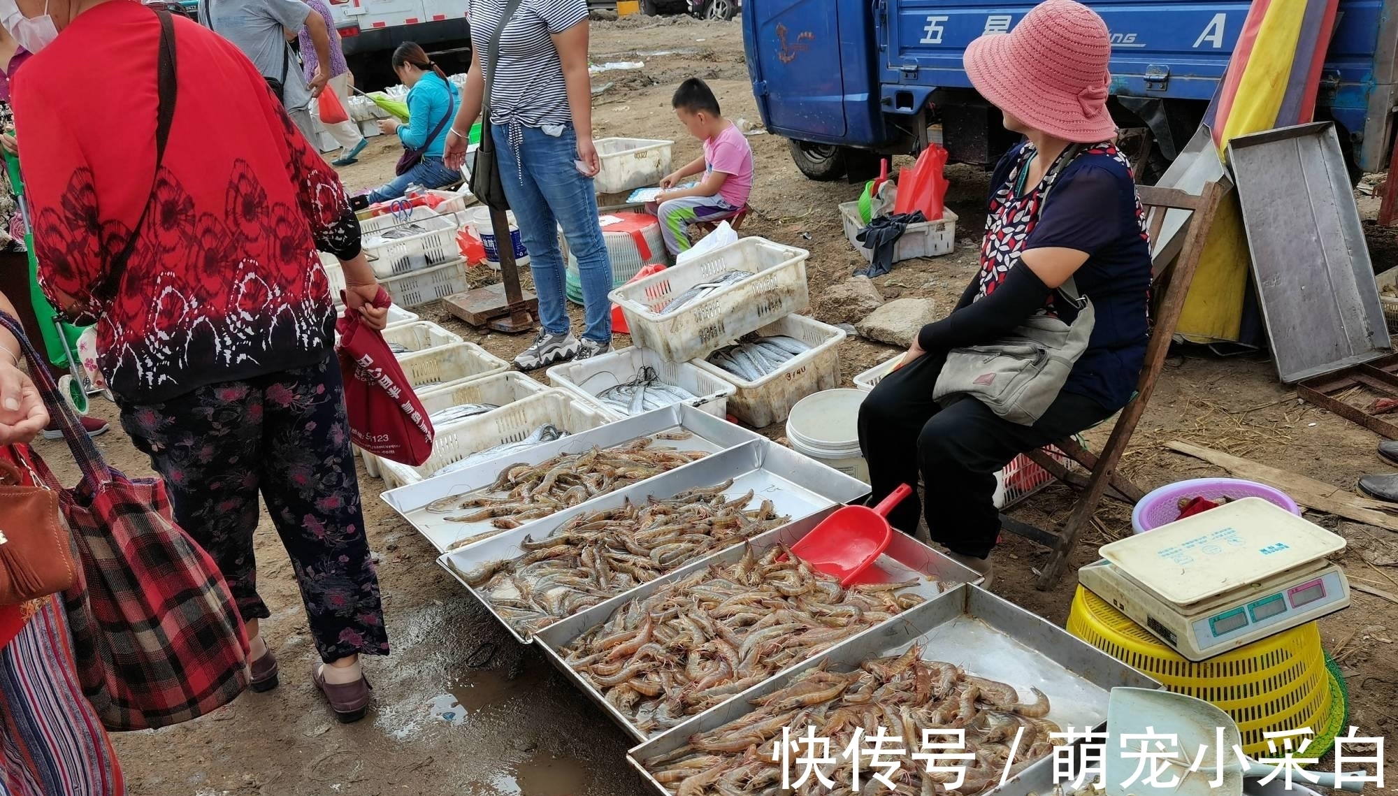 保鲜|大虾保鲜有诀窍:冷冻一年,解冻仍然是鲜活模样,百试百灵