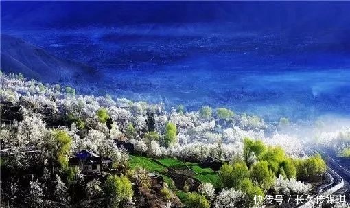 为什么看林芝桃花，一定要走川藏线？