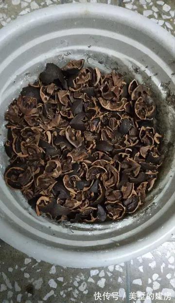 花盆|养花不花钱,花盆放4种“小垃圾”,不怕积水,不再烂根