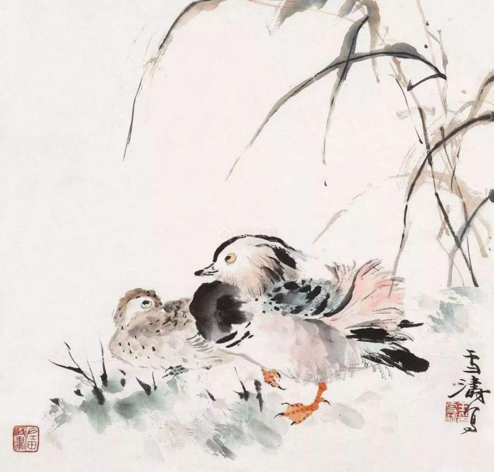 花鸟画|写意花鸟画初学者不要一味追求笔墨!!!