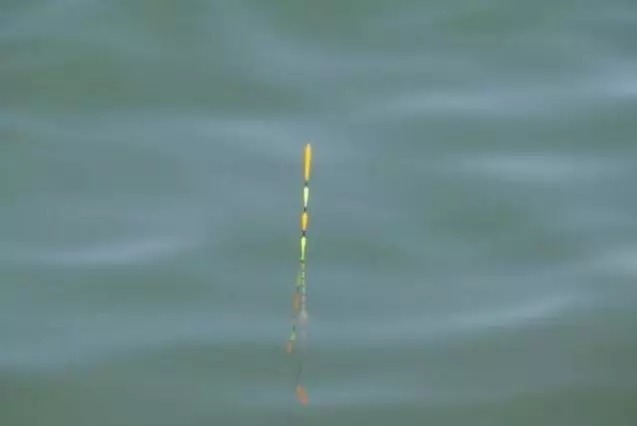 调高钓底和调低钓高，字相同意不同，搞错了的后果就是钓不上鱼