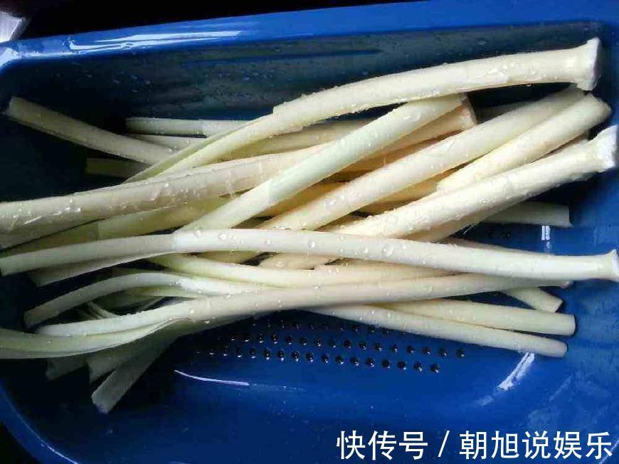 农村|农村田边的“香肠”,过去农民见到就砍,如今30一斤成稀罕野菜