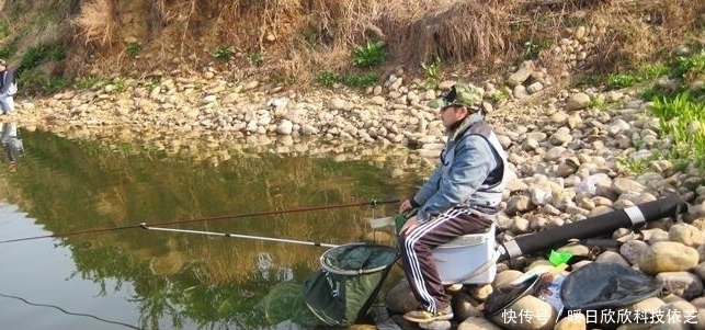 钓饵|享受连竿的乐趣,野钓白条的技巧