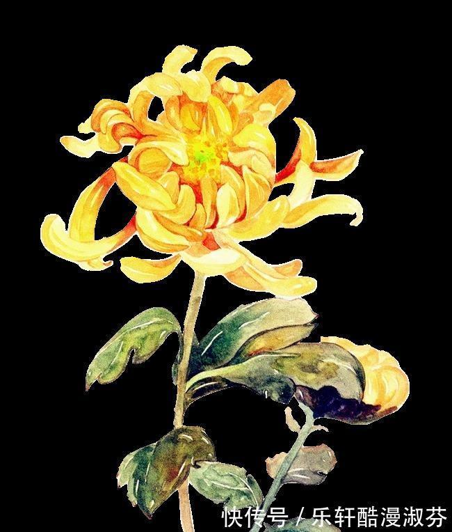 酒诗@酒与诗词（一）