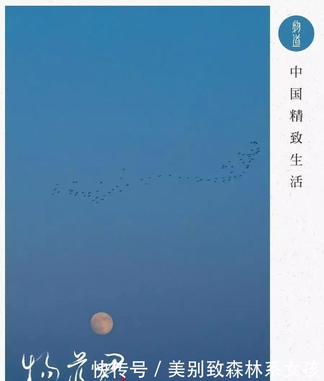  不知道|人的一生，会有三次死亡