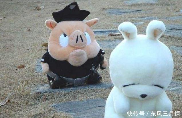 兔八哥|美国有一只兔八哥,韩国有一只流氓兔,中国有一只兔子叫……