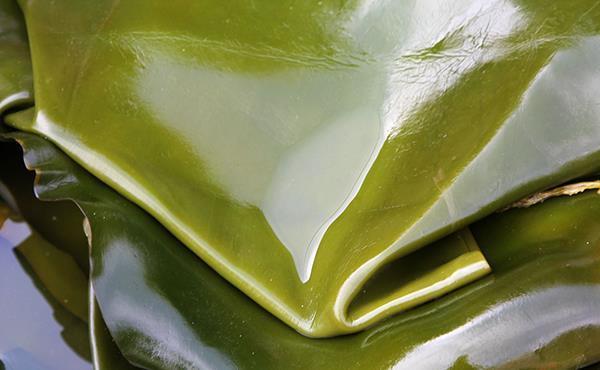 甲狀腺結節(jié)|牛肉是“發(fā)物”,不適合甲狀腺結節(jié)患者吃?真正不宜吃的別忽略